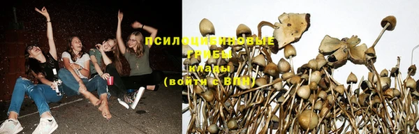 трава Алексин