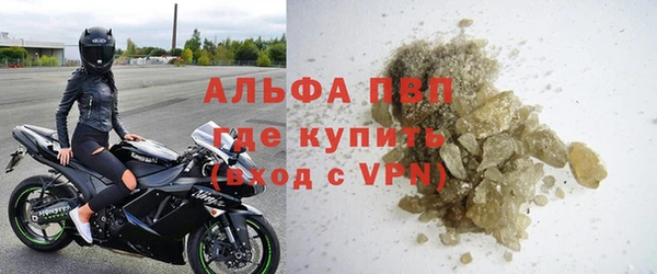 стафф Алзамай