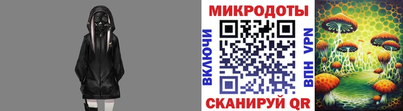 купить наркотики сайты  Азнакаево  Галлюциногенные грибы Psilocybe 
